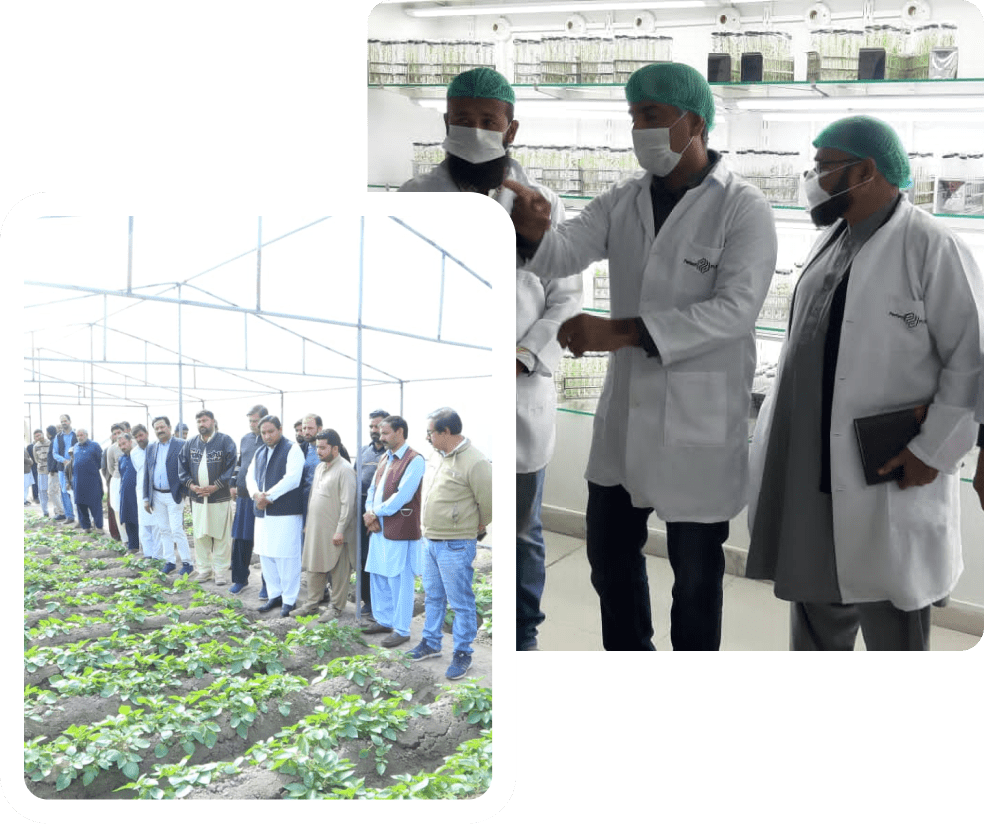 business model poster